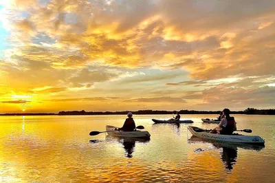 Discover Cocoa Beach's Hidden Gems: Sunset, Dolphins & Manatees Await!