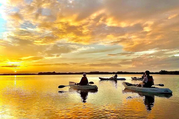 Discover Cocoa Beach's Hidden Gems: Sunset, Dolphins & Manatees Await!