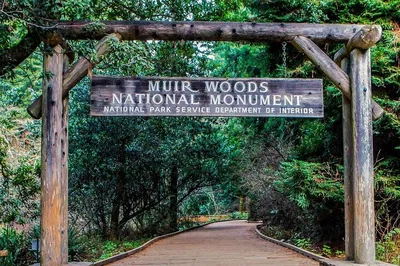 Golden Gate & Muir Woods: An Exclusive San Francisco Bay Adventure
