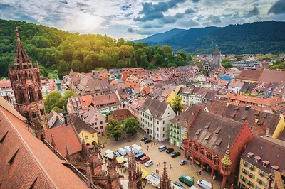 Unveiling Freiburg & Black Forest: A Colmar Private Day Tour