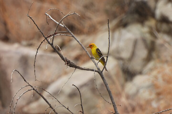 Experience Image img4