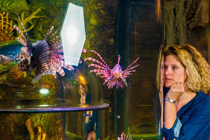 Experience Image img3