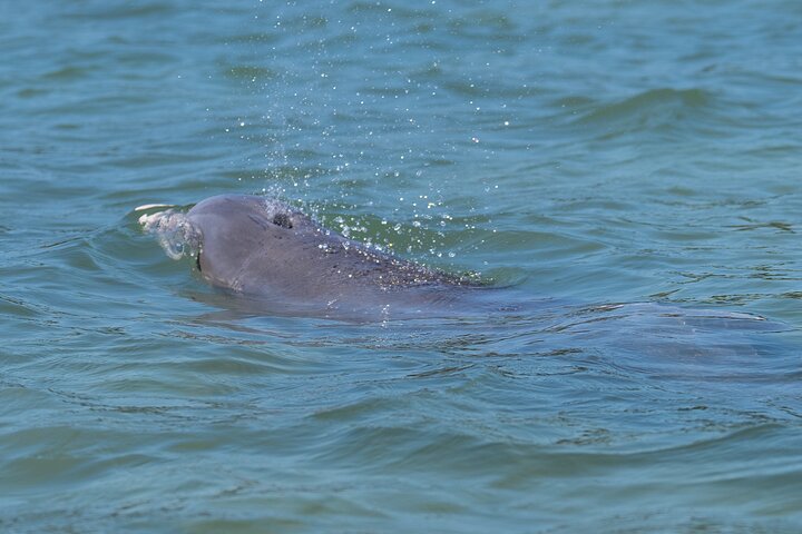 Experience Image img3