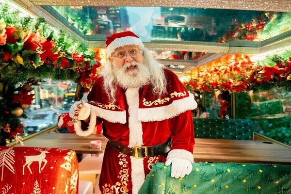 Xmas Lights Tour: Highland Park Holiday Magic