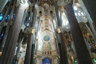Image 2