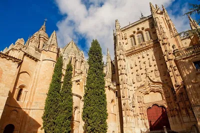Uncover Avila & Salamanca: A Private Historical Day Trip from Madrid