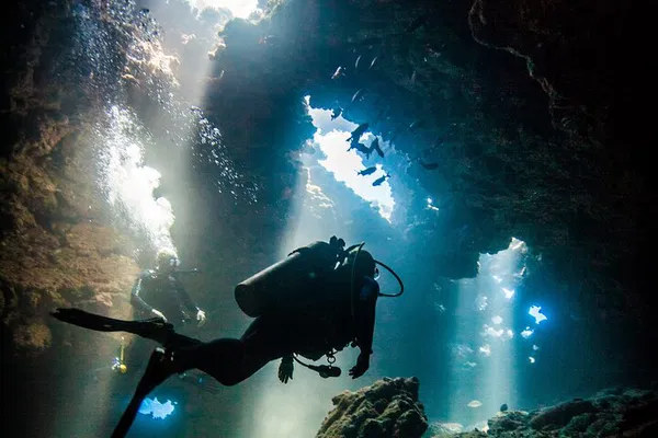 Discover Lanai's Underwater Cathedrals: A Scuba Diving Adventure