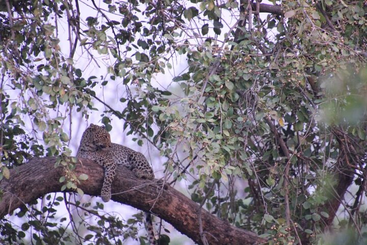 Experience Image img1