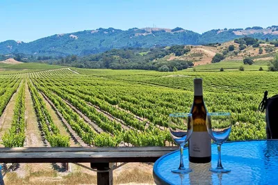Unforgettable Sonoma Valley Wine Adventure: All-Inclusive Luxury Tour!