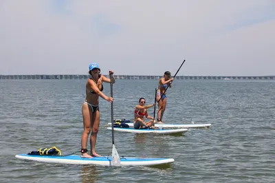 Glide into Adventure: Stand Up Paddleboarding in Ocean City's Back Bays
