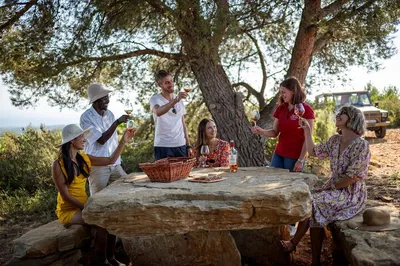 Provence Wine Tour: An Expert-Led Vineyard Adventure