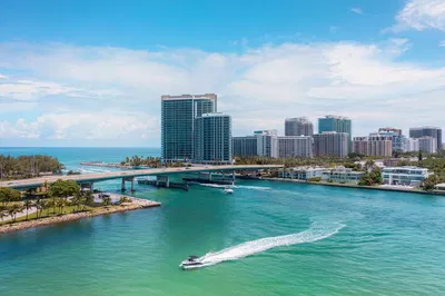 Miami's Millionaire Row & City Tour: An Exclusive Shore Excursion