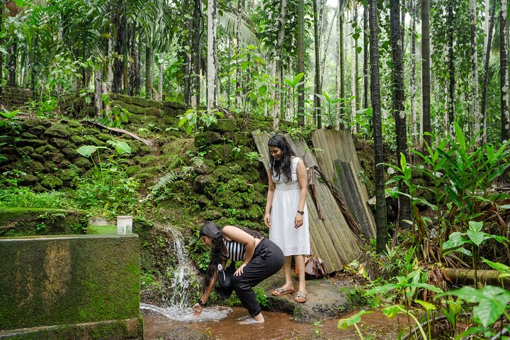 Discover Saligao: A Susegad Village Walk Through Goa's Hidden Gem