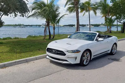 Miami's French Flair: Mustang Convertible Tour!
