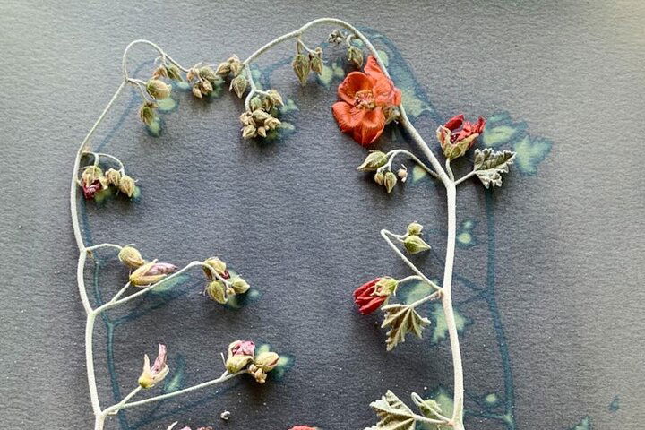 Experience Image img3