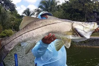 Reel in the Adventure: Homosassa Inshore Fishing Charters Await!
