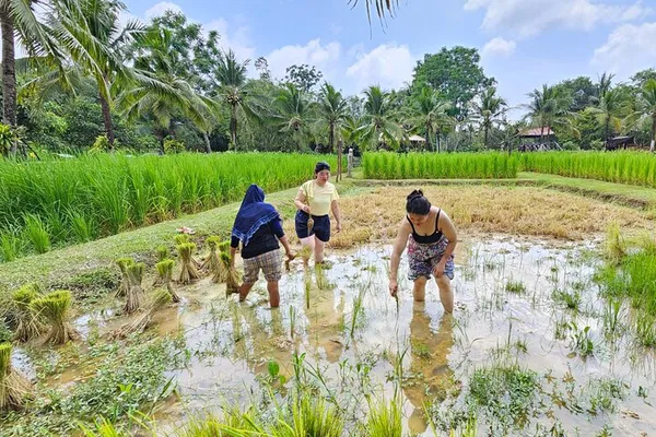 Discover Phuket's Authentic Rural Life: Old Phuket Farm Experience