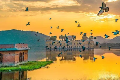 Golden Triangle Tour: Unveiling India's Majesty in 5 Days