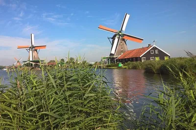 Zaanse Schans Windmills Tour: Cheese & Clogs from Amsterdam