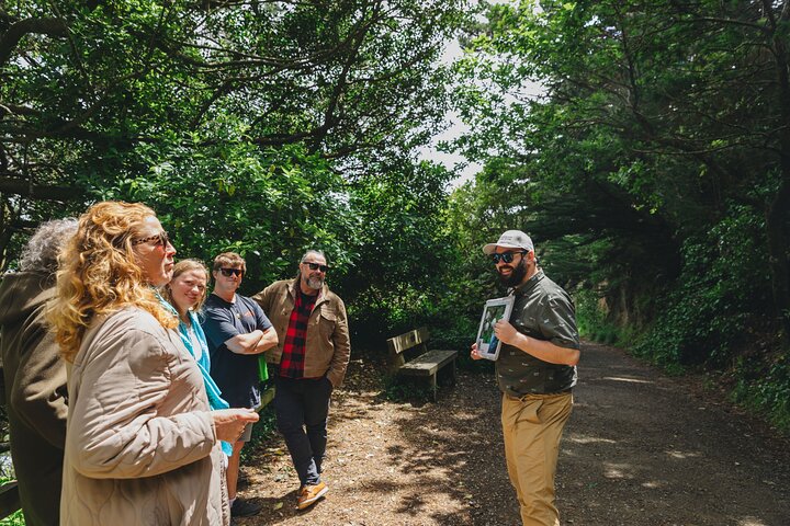 Experience Image img2