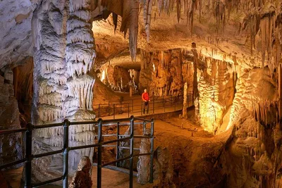 Explore Slovenia's Wonders: Postojna Cave & Predjama Castle Day Trip from Bled