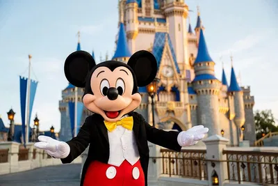 Unlock Magic: Experience Walt Disney World with Park Hopper Plus!