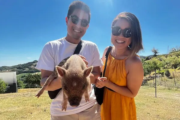 Savor Bologna: Farm Stay, Feast & Dozza's Artistic Charm - A Private Day Escape