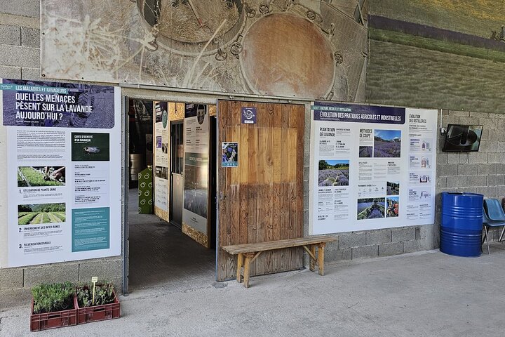 Experience Image img2