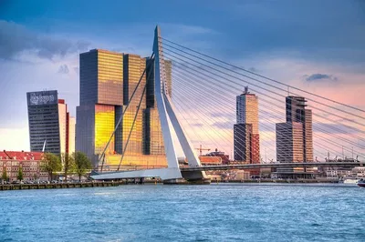 Unveiling Rotterdam: A Fusion of History, Architecture, and Modern Marvels Walking Tour