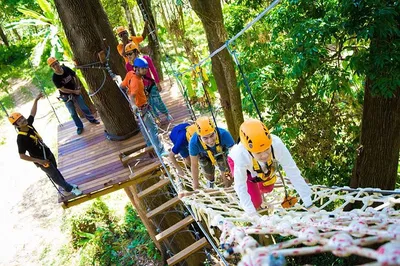 Phuket's Thrilling ATV & Zipline Adventure: Conquer the Jungle!