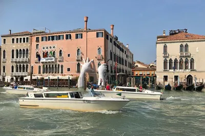 Stress-Free Venice Arrival: Private Water Taxi to Your Hotel
