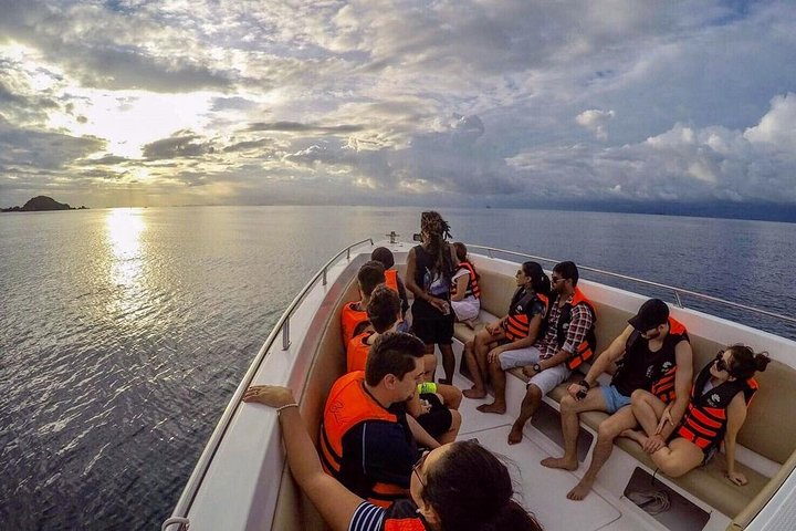 Phi Phi Sunrise: Beat the Crowds on an Exclusive Speedboat Adventure!