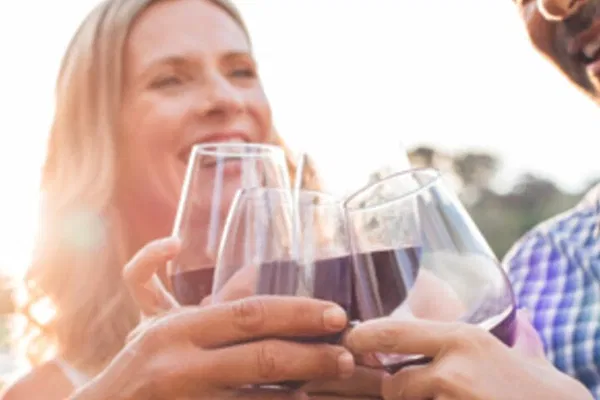 Niagara: Private Wine Tour with Charcuterie & Tastings