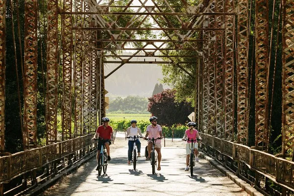 Sonoma E-Bike Wine Tour: Guided Tasting & Lunch