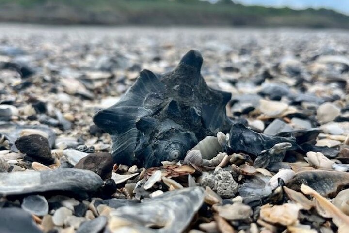 Experience Image img4