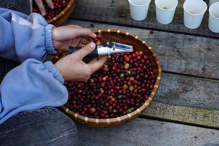 Experience Image img2