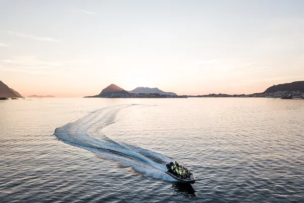 Alesund's Thrilling Wildlife Sea Safari: Discover Norway's Untamed Ocean!