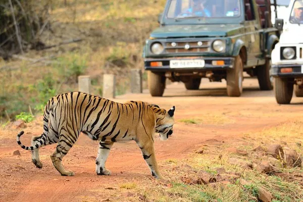 Unveiling Tribal Cultures & Wildlife: Nagpur to Vizag Adventure