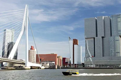 Rotterdam Unveiled: Architectural Gems & Water Taxi Adventures!