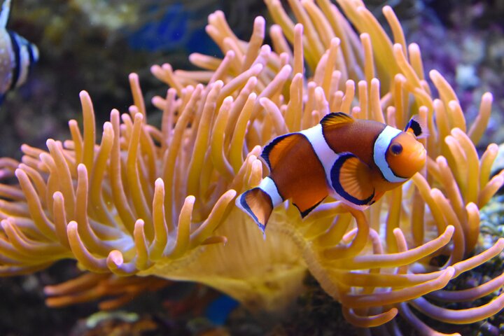 https://images.dyvarcity.com/experience-images/dyvarcity_ee6fb752c0c1b309f083deba5_7f.jpg
