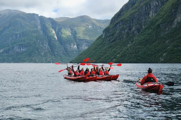 Olden Fjord Kayak Adventure: Guided Tour & Wildlife
