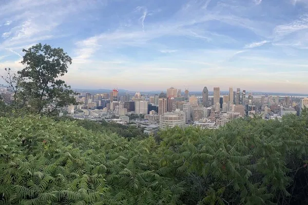 Montreal Car Tour: History, Gems & Local Spots