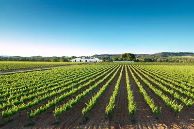 Uncork Penedès: A Sparkling Wine Journey from Barcelona