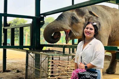 Sunrise Taj Mahal & Elephant Sanctuary: Delhi Private Tour