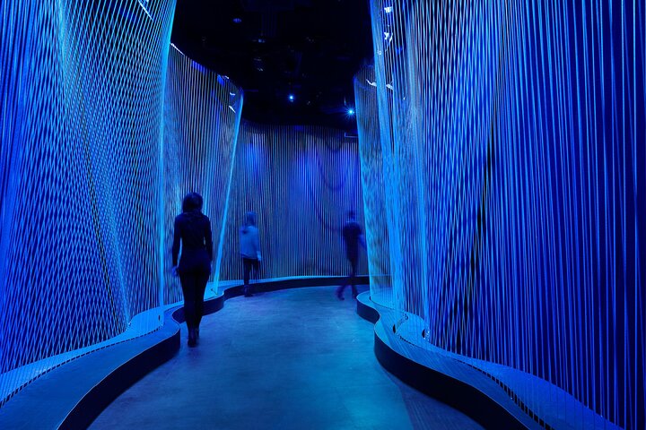 Experience Image img1