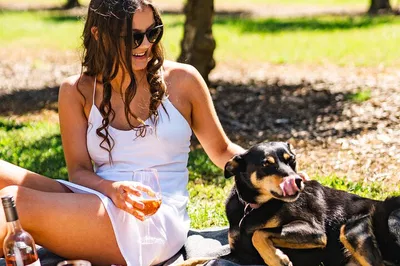 Red Hill Family Farm Picnic: A Gourmet Getaway