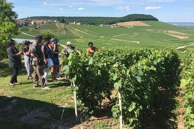 Champagne Dreams: An Exclusive Day Trip from Paris