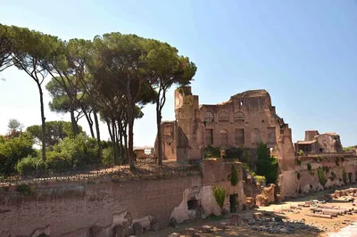 Unveiling Ancient Rome: A Private Journey Through Imperial History