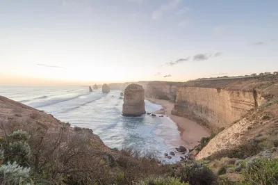 Great Ocean Road Private Tour: 12 Apostles & Wildlife