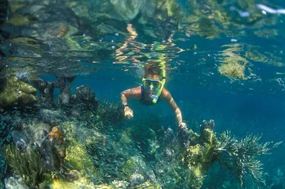 Discover Cham Island: Snorkeling Adventure & Cultural Immersion